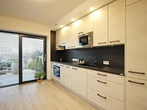 Pronájem bytu 1+kk, Brno, Zákoutí, 58 m2