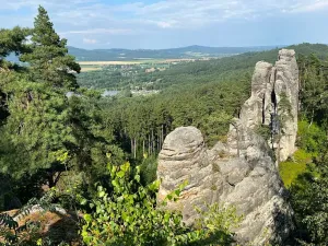 Prodej pozemku pro bydlení, Češov, 1000 m2