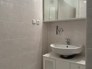 Pronájem bytu 1+1, Mariánské Lázně, Hlavní třída, 46 m2