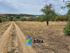 Prodej zahrady, Želešice, 1739 m2