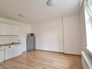 Pronájem bytu 1+kk, Praha - Bubeneč, U zeměpisného ústavu, 26 m2