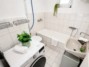 Prodej rodinného domu, Radenín, 46 m2