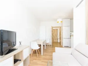 Pronájem bytu 1+kk, Praha - Hostivař, Rychtáře Petříka, 34 m2