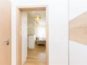 Pronájem bytu 1+kk, Praha - Hostivař, Rychtáře Petříka, 34 m2