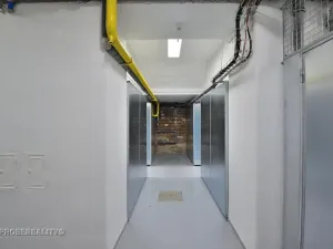 Prodej bytu 2+kk, Praha - Vršovice, Přípotoční, 80 m2