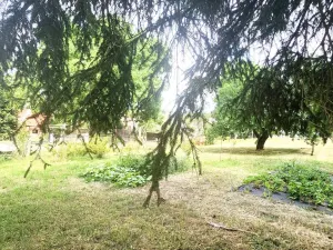 Prodej rodinného domu, Pláně - Vrážné, 110 m2