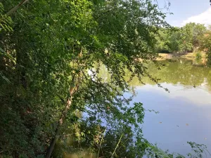 Prodej rodinného domu, Nupaky, K Parku, 130 m2