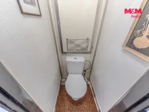 Prodej bytu 3+1, Mladá Boleslav - Mladá Boleslav II, Na Radouči, 65 m2