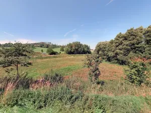 Prodej louky, Oslavička, 5986 m2