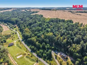 Prodej lesa, Tupadly, 5004 m2