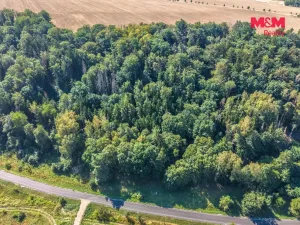 Prodej lesa, Tupadly, 5004 m2