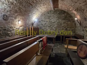Pronájem restaurace, Opava, Dolní náměstí, 99 m2