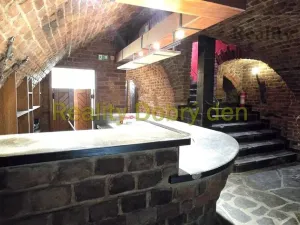 Pronájem restaurace, Opava, Dolní náměstí, 99 m2