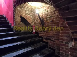 Pronájem restaurace, Opava, Dolní náměstí, 99 m2