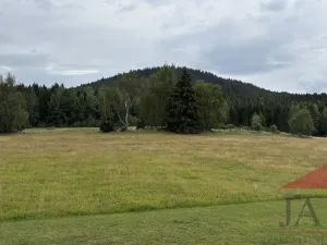 Prodej rodinného domu, Srní, 239 m2