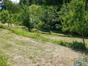 Prodej pozemku pro bydlení, Běhařov, 1746 m2