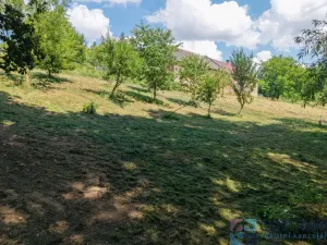 Prodej pozemku pro bydlení, Běhařov, 1746 m2