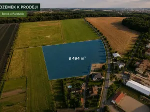 Prodej pozemku pro bydlení, Borek, 8494 m2