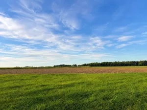 Prodej pozemku pro bydlení, Borek, 8494 m2