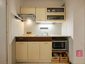Pronájem bytu 1+kk, Brno, Žitná, 29 m2