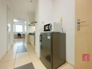 Pronájem bytu 1+kk, Brno, Žitná, 29 m2
