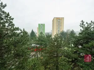 Pronájem bytu 1+kk, Brno, Žitná, 29 m2