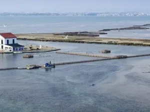 Prodej rodinného domu, San Pedro del Pinatar, Murcia, Španělsko, 125 m2