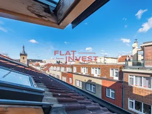 Prodej bytu 6+kk a větší, Praha - Nové Město, Řeznická, 294 m2