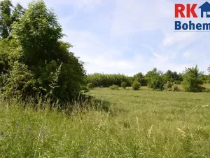 Prodej chalupy, Cholenice, 120 m2