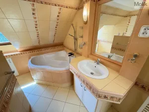 Pronájem bytu 4+1, Osek, Obránců míru, 159 m2
