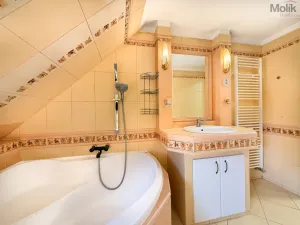 Pronájem bytu 4+1, Osek, Obránců míru, 159 m2