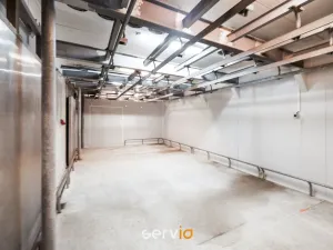 Pronájem výrobních prostor, Tištín, 3100 m2