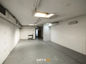 Pronájem výrobních prostor, Tištín, 3100 m2