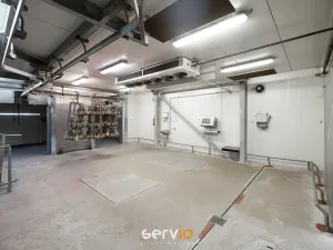 Pronájem výrobních prostor, Tištín, 3100 m2
