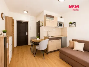 Prodej bytu 1+kk, Líšnice, Spálený Mlýn, 18 m2