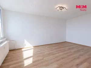 Prodej bytu 2+1, Plzeň - Doudlevce, 58 m2