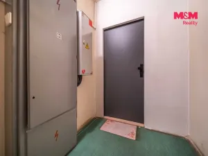 Prodej bytu 2+1, Plzeň - Doudlevce, 58 m2