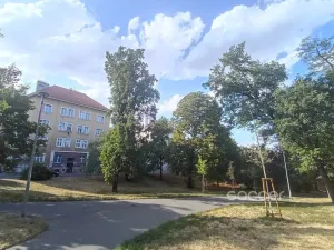 Pronájem bytu 1+kk, Praha - Nusle, Na Jezerce, 22 m2