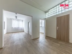 Pronájem skladu, Zdiby - Přemyšlení, U Továrny, 265 m2