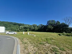 Prodej pozemku, Velká Polom, Okružní, 6038 m2