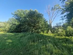Prodej komerčního pozemku, Velká Polom, Okružní, 6038 m2