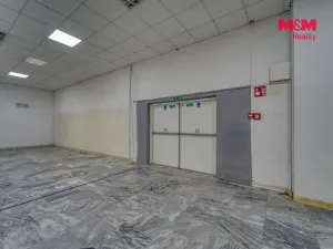 Pronájem obchodního prostoru, Plzeň - Východní Předměstí, Americká, 1603 m2