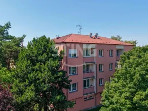 Prodej bytu 3+1, Bystřice pod Hostýnem, O. Bardinové, 91 m2