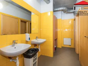 Pronájem kanceláře, Brno - Horní Heršpice, Kšírova, 2481 m2