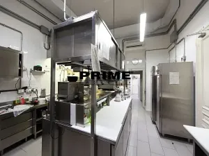Pronájem obchodního prostoru, Praha - Vinohrady, Italská, 225 m2