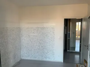 Dražba - jiné, Praha - Malešice, Nad úžlabinou, 38 m2