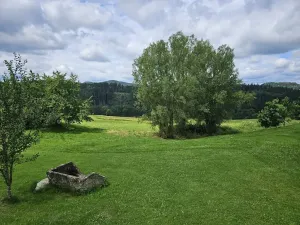 Prodej louky, Dolní Dvořiště, 562199 m2