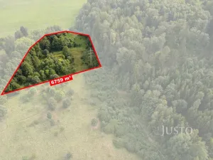 Prodej louky, Liberec - Liberec I-Staré Město, 6759 m2