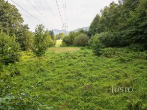 Prodej louky, Liberec - Liberec I-Staré Město, 6759 m2
