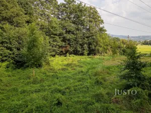 Prodej louky, Liberec - Liberec I-Staré Město, 6759 m2